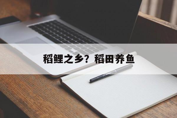 稻鲤之乡？稻田养鱼-第1张图片-