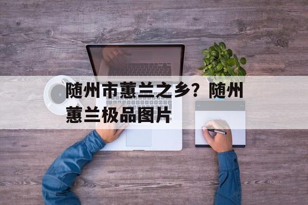 随州市蕙兰之乡？随州蕙兰极品图片-第1张图片-