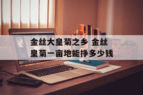金丝大皇菊之乡 金丝皇菊一亩地能挣多少钱-第1张图片-