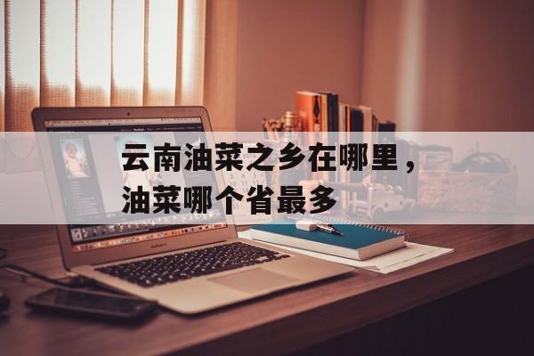 云南油菜之乡在哪里，油菜哪个省最多-第1张图片-