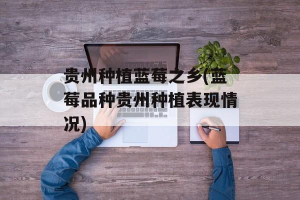 贵州种植蓝莓之乡(蓝莓品种贵州种植表现情况)-第1张图片-