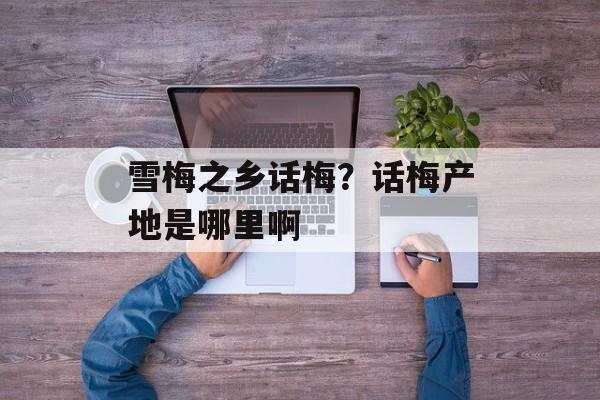 雪梅之乡话梅？话梅产地是哪里啊-第1张图片-