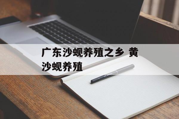 广东沙蚬养殖之乡 黄沙蚬养殖-第1张图片-