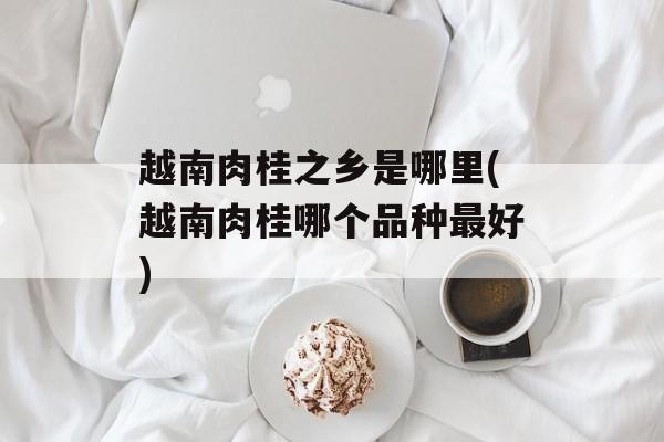 越南肉桂之乡是哪里(越南肉桂哪个品种最好)-第1张图片-