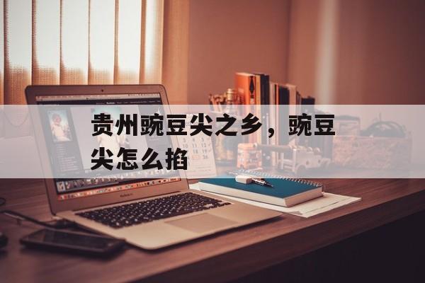 贵州豌豆尖之乡，豌豆尖怎么掐-第1张图片-