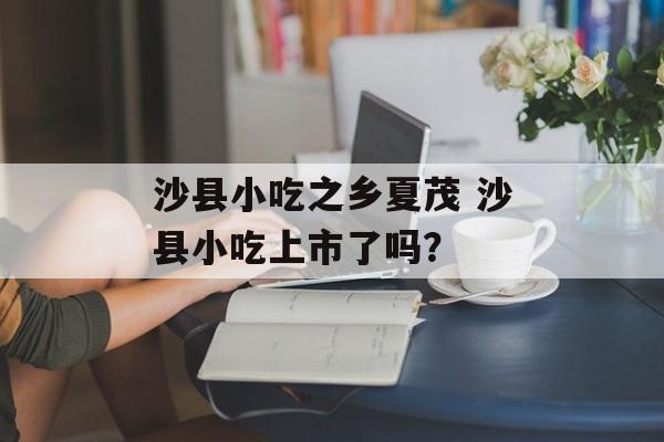 沙县小吃之乡夏茂 沙县小吃上市了吗？-第1张图片-