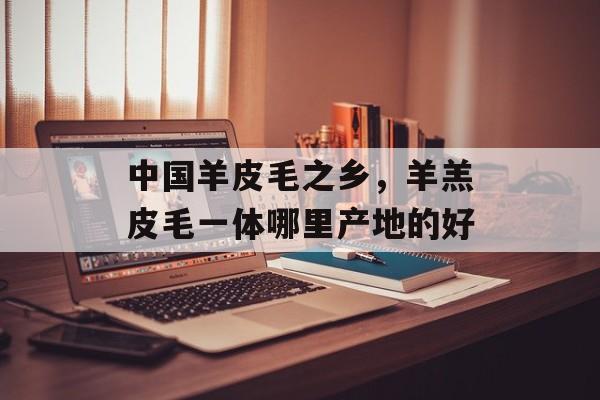 中国羊皮毛之乡，羊羔皮毛一体哪里产地的好-第1张图片-