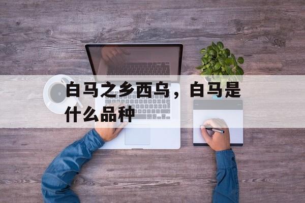 白马之乡西乌，白马是什么品种-第1张图片-