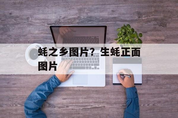蚝之乡图片？生蚝正面图片-第1张图片-