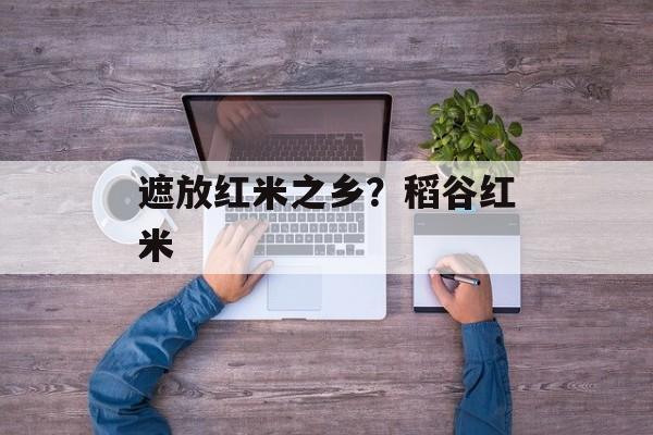 遮放红米之乡？稻谷红米-第1张图片-