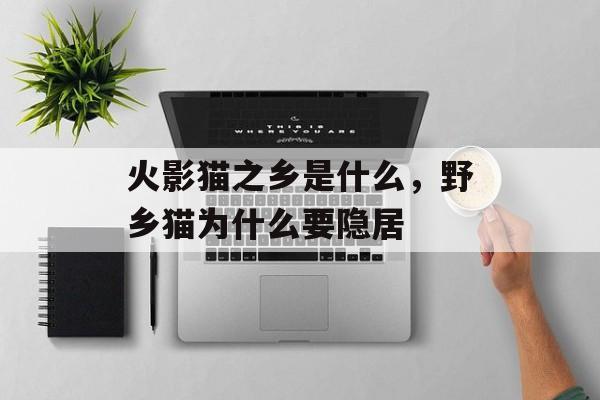 火影猫之乡是什么，野乡猫为什么要隐居-第1张图片-