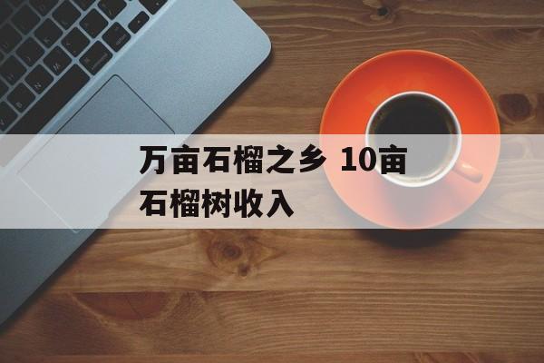 万亩石榴之乡 10亩石榴树收入-第1张图片-