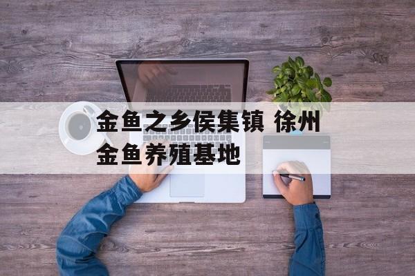 金鱼之乡侯集镇 徐州金鱼养殖基地-第1张图片-