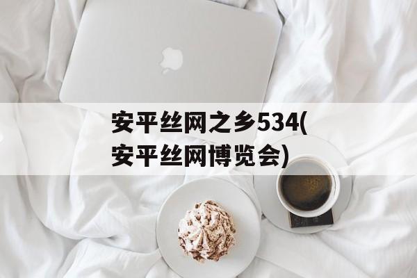 安平丝网之乡534(安平丝网博览会)-第1张图片-