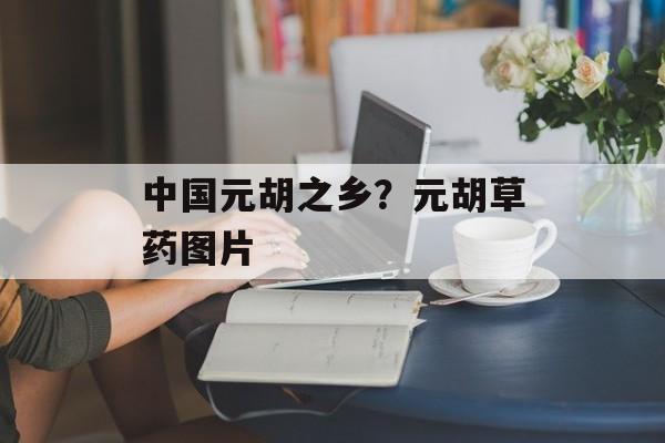 中国元胡之乡？元胡草药图片-第1张图片-