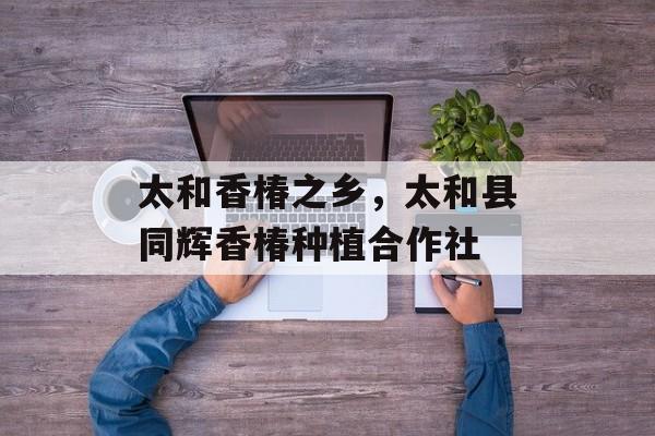 太和香椿之乡，太和县同辉香椿种植合作社-第1张图片-