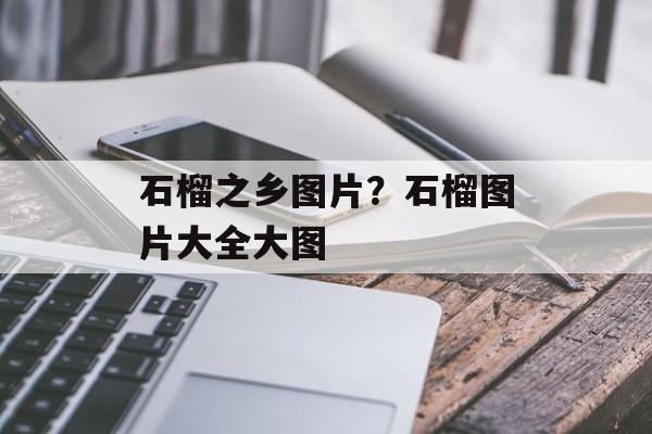 石榴之乡图片？石榴图片大全大图-第1张图片-
