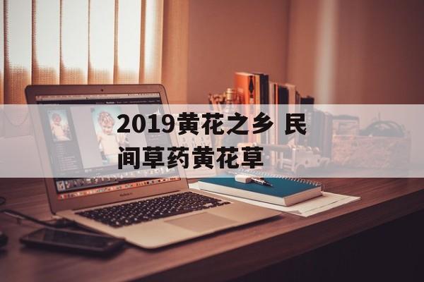 2019黄花之乡 民间草药黄花草-第1张图片-