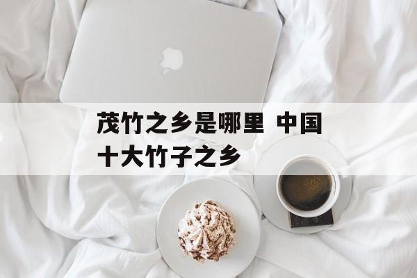 茂竹之乡是哪里 中国十大竹子之乡-第1张图片-