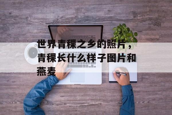 世界青稞之乡的照片，青稞长什么样子图片和燕麦-第1张图片-
