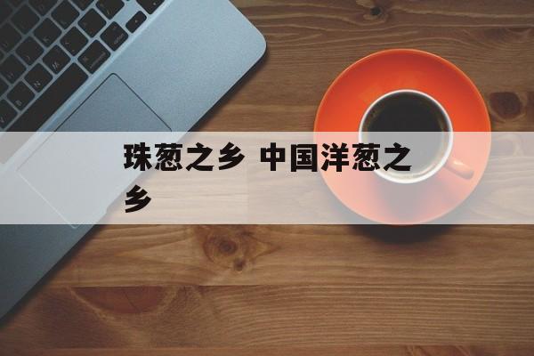 珠葱之乡 中国洋葱之乡-第1张图片-