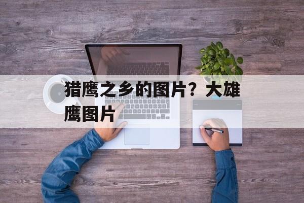 猎鹰之乡的图片？大雄鹰图片-第1张图片-