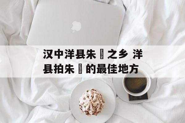汉中洋县朱鹮之乡 洋县拍朱鹮的最佳地方-第1张图片-