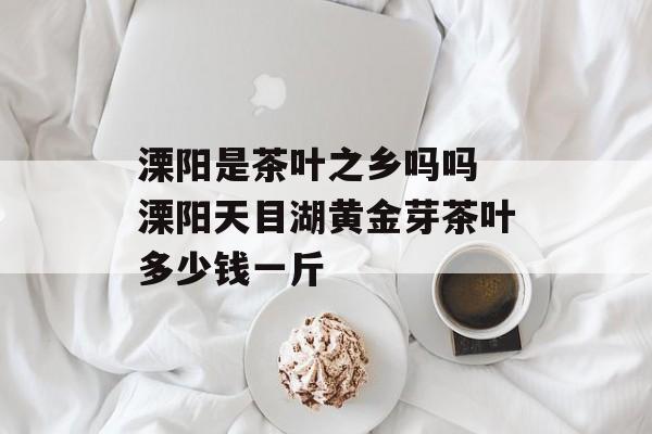 溧阳是茶叶之乡吗吗 溧阳天目湖黄金芽茶叶多少钱一斤-第1张图片-