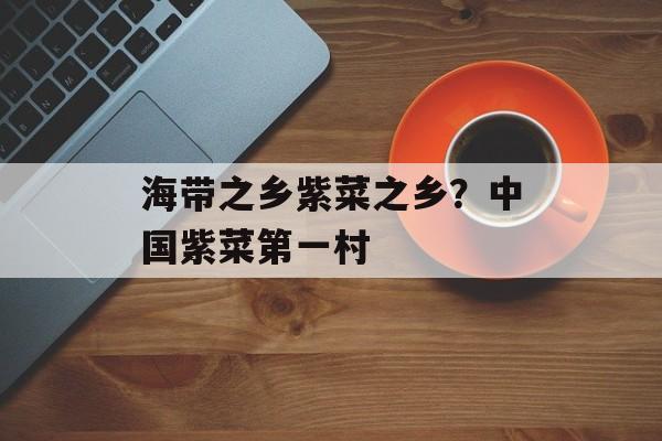 海带之乡紫菜之乡？中国紫菜第一村-第1张图片-