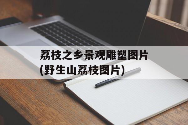 荔枝之乡景观雕塑图片(野生山荔枝图片)-第1张图片-