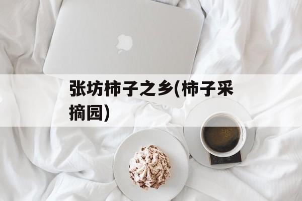 张坊柿子之乡(柿子采摘园)-第1张图片-