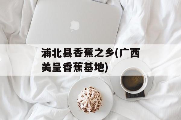 浦北县香蕉之乡(广西美呈香蕉基地)-第1张图片-