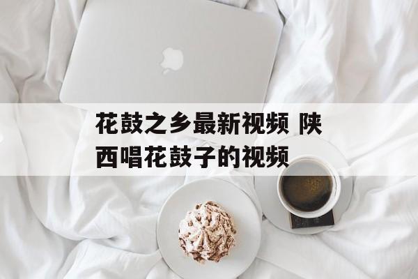 花鼓之乡最新视频 陕西唱花鼓子的视频-第1张图片-