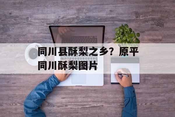 同川县酥梨之乡？原平同川酥梨图片-第1张图片-